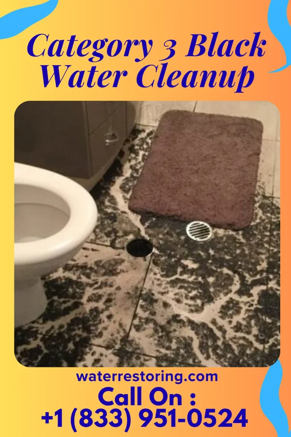 Category 3 Black Water Cleanup in Genoa, WI